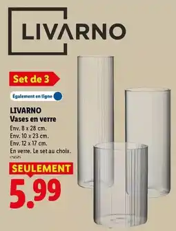 Lidl Livarno - vases en verre offre