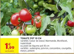 Intermarché Hyper Tomate pot offre