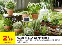 Intermarché Hyper Plante aromatique pot offre