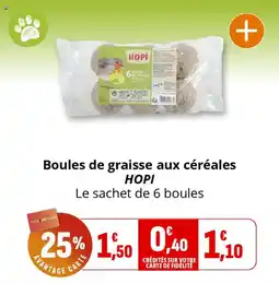 Coccinelle Express Boules de graisse aux céréales hopi offre