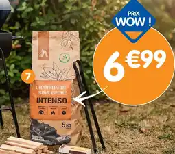 b&m Volcan charbon de bois offre