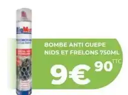 BigMat Bombe anti guepe nids et frelons offre