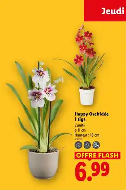 Lidl Happy Orchidée 1 tige offre