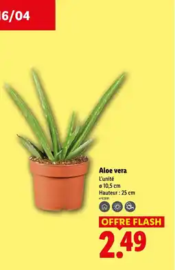 Lidl Aloe vera offre
