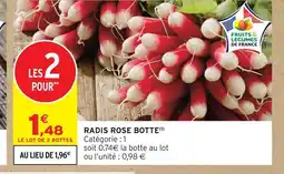 Intermarché Contact Radis rose botte offre