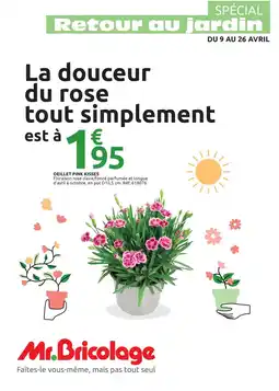 Mr Bricolage Oeillet pink kisses offre