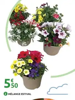 Mr Bricolage Mélange estival offre