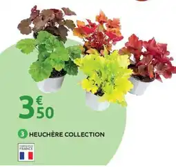 Mr Bricolage Heuchère collection offre