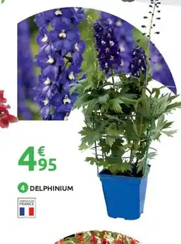 Mr Bricolage Delphinium offre