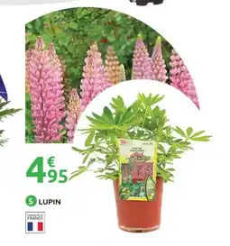 Mr Bricolage Lupin offre