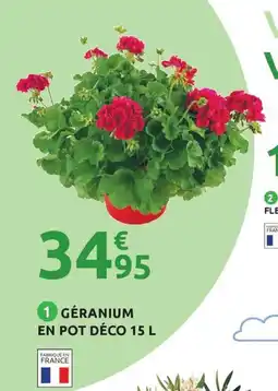 Mr Bricolage Géranium en pot déco offre