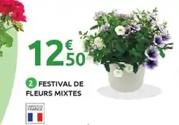 Mr Bricolage Festival de fleurs mixtes offre