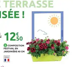 Mr Bricolage Composition festival en jardinière offre