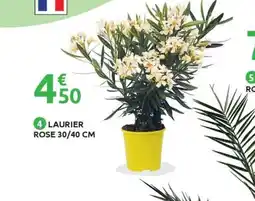 Mr Bricolage Laurier rose offre