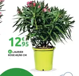 Mr Bricolage Laurier rose offre
