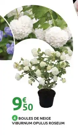 Mr Bricolage Boules de neige viburnum opulus roseum offre