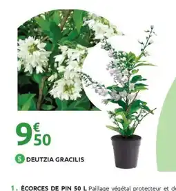 Mr Bricolage Deutzia gracilis offre