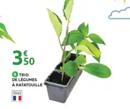Mr Bricolage Trio de légumes à ratatouille offre
