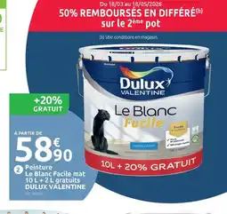 Mr Bricolage DULUX VALENTINE Le Blanc Facile mat offre