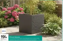 Carrefour POT CARRÉ 'VOLCANIA UP' offre