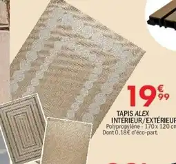 La Foir'Fouille Tapis alex intérieur/extérieur offre