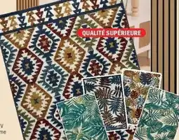 La Foir'Fouille Tapis mila intérieur/extérieur offre