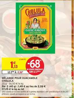 Intermarché Hyper Cholula mélange pour guacamole offre