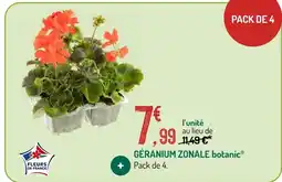 Botanic Botanic géranium zonale offre