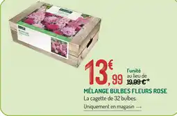 Botanic Mélange bulbes fleurs rose offre