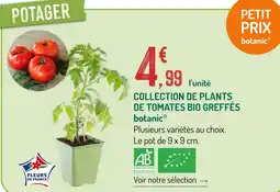 Botanic Botanic collection de plants de tomates bio greffés offre