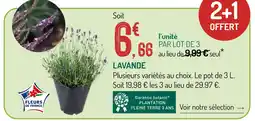 Botanic Lavande offre