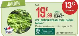 Botanic Botanic collection d'érables du japon offre