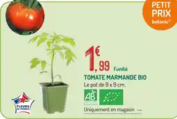 Botanic Botanic tomate marmande bio offre