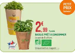 Botanic Basilic bio prêt à consommer offre