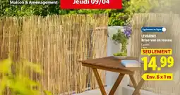 Lidl Livarno - brise-ture & toscana offre