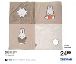Zeeman Tapis de parc offre