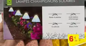 Lampes champignons jolaises