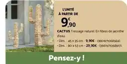 Bricorama Dim - cactus tressage naturel en fibres de jacinthe offre