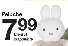 Zeeman Peluche offre