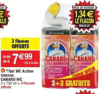 Gel WC action intense CANARD WC