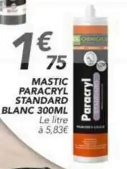 Les Briconautes MASTIC PARACRYL STANDARD BLANC offre