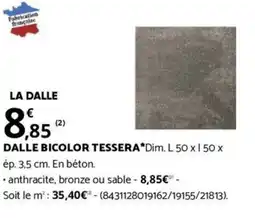 Bricorama DALLE BICOLOR TESSERA offre