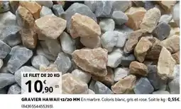 Bricorama GRAVIER HAWAII 12/20 MM offre