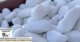 Bricorama GALET BLANC 24/40 MM offre