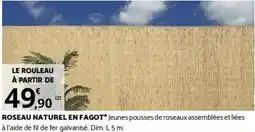 Bricorama ROSEAU NATUREL EN FAGOT offre