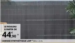 Bricorama CANISSE SYNTHÉTIQUE LOP offre