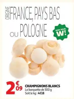 Auchan Champignons Blancs offre