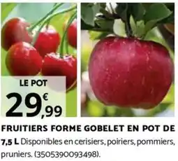 Bricorama FRUITIERS FORME GOBELET EN POT DE 7,5 L offre