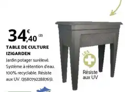 Bricorama TABLE DE CULTURE IZIGARDEN offre