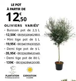 Bricorama OLIVIERS VARIÉS offre